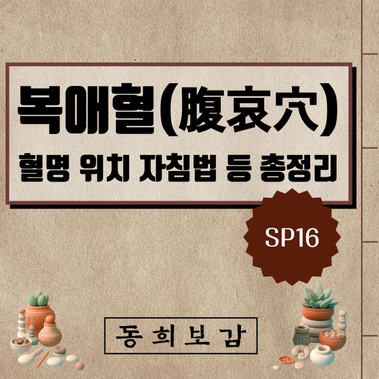  복애혈(腹哀穴) SP16, 소속경맥 혈명 위치 특성 자침법 등 총정리