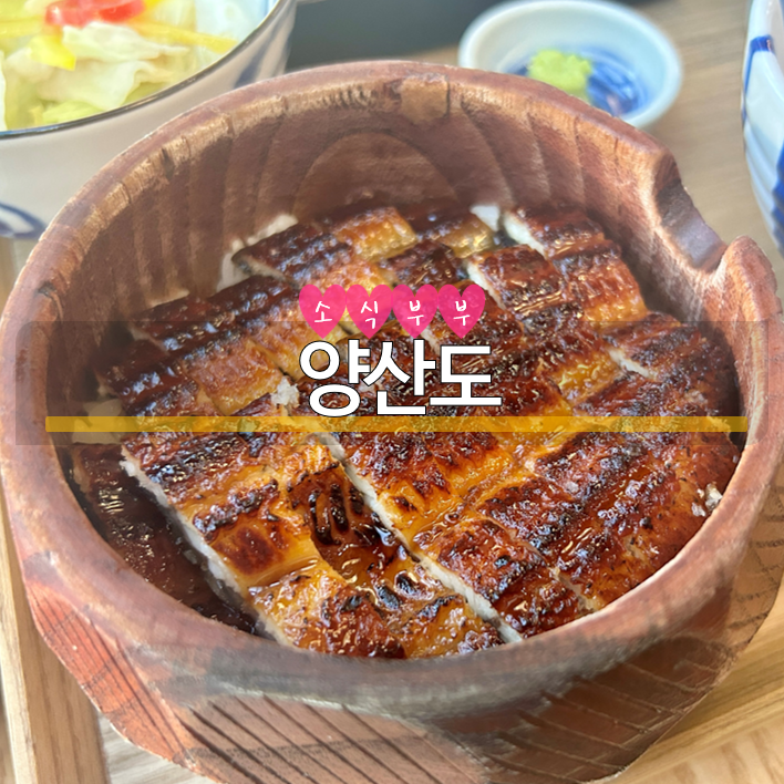 [잠실] '잠실 장어덮밥 맛집'으로 유명한 '양산도'