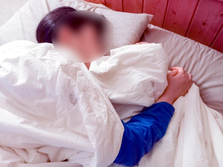  여름 이불로 냉감 이불 사계절이불 추천