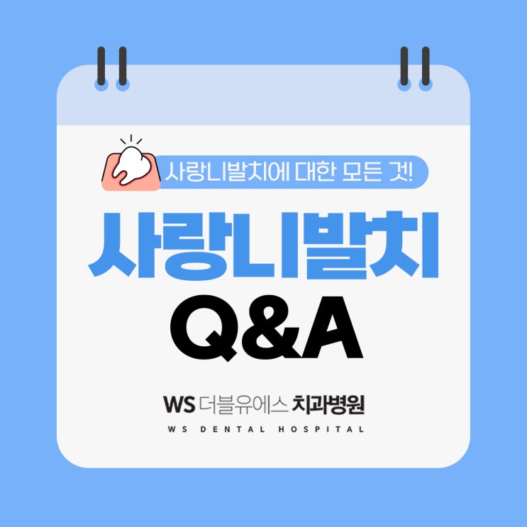  해운대사랑니발치 찾으시나요?