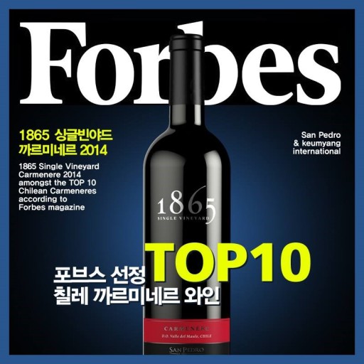  골프술 와인1865 브랜딩