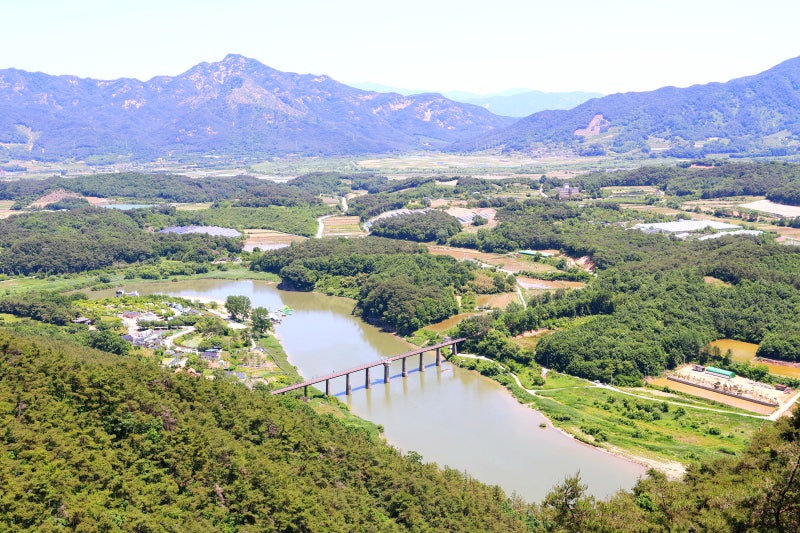 사진 5