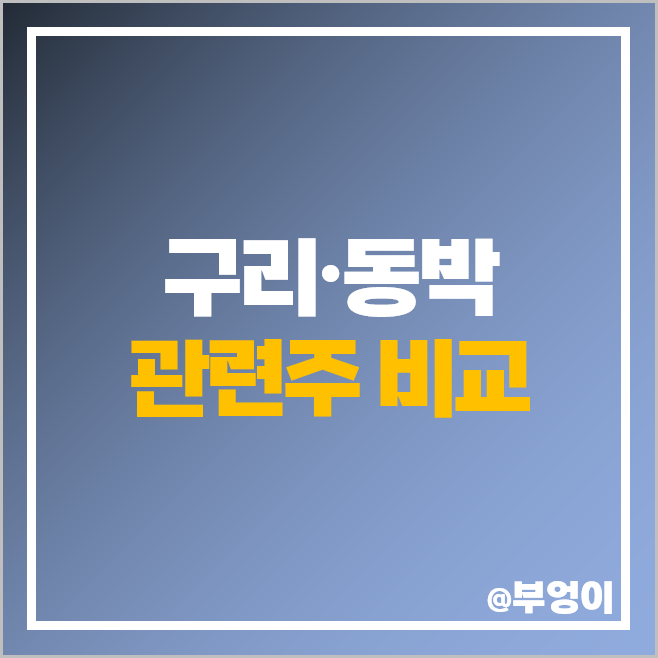 구리 동박 관련주 양극재 테마주 대장주 SKC 주식 윈텍 주가 구리 동박 관련주 양극재 테마주 대장주 SKC 주식 윈텍 주가