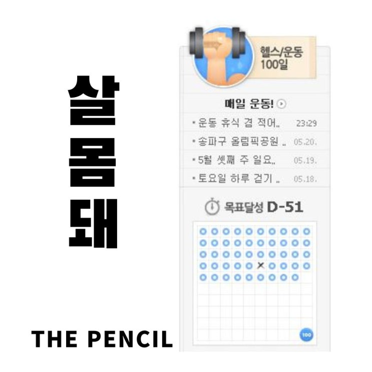  운동 휴식 겸 적어보는 살몸돼 블로그 챌린지 프로그램
