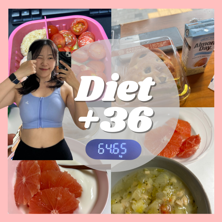  다이어트 | 36일차 | 유산소 | 다이어트식단 | 눈바디 | 폼롤러 | 스트레칭