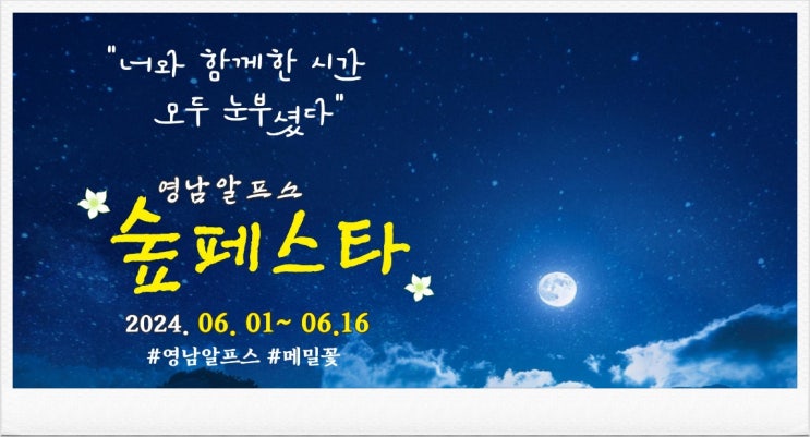  2024 영남알프스 숲페스타 기본정보 체험프로그램