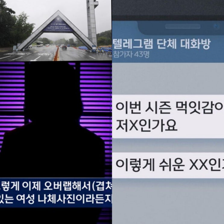 ‘먹잇감’ <b>서울대</b> 출신 40대 남성 ‘N번방’ 여후배 얼굴에... 