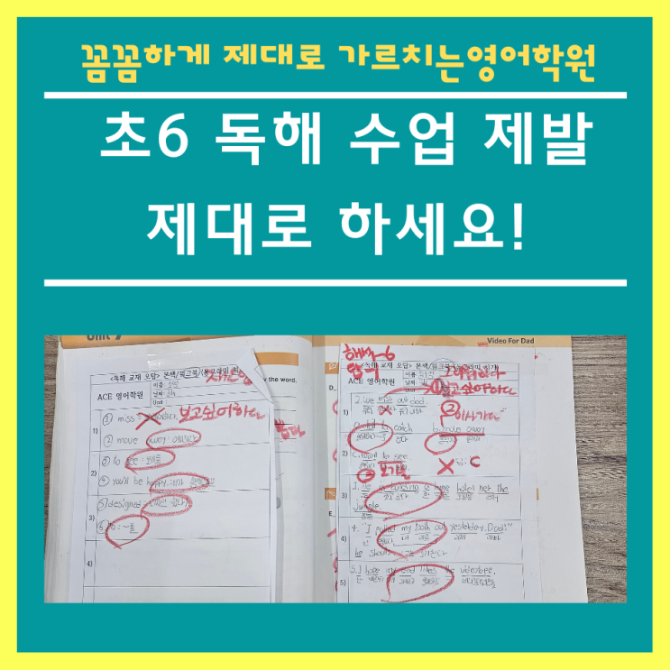  증산초 가남초 영어학원 해석도 못하는 독해수업 괜찮나요?