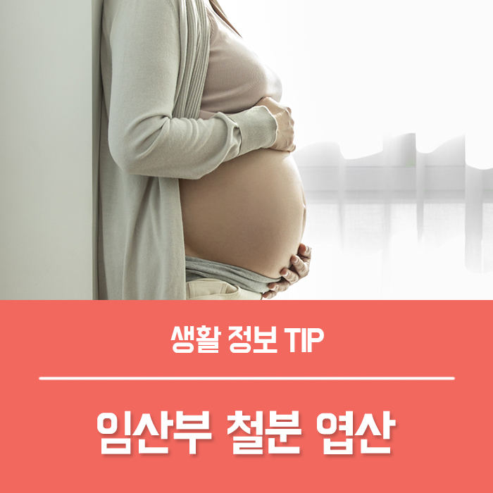  임산부 엽산 권장량, 임산부 철분 엽산 복용시기 섭취량 총정리!