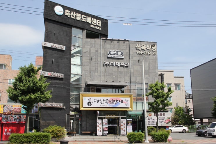  울산소고기 기대축산 좋은 고기 혼자 구워먹은 후기