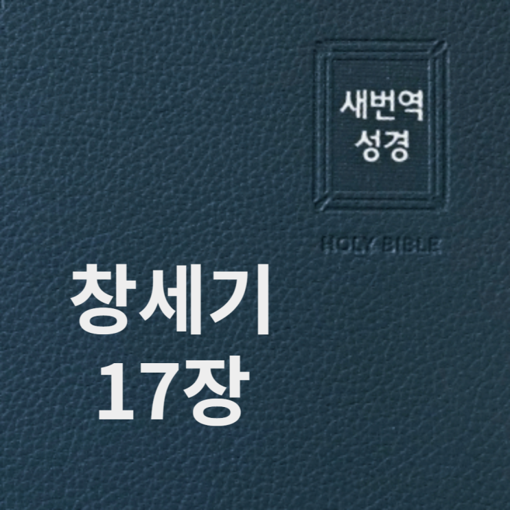 창세기 17장 창세기 17장