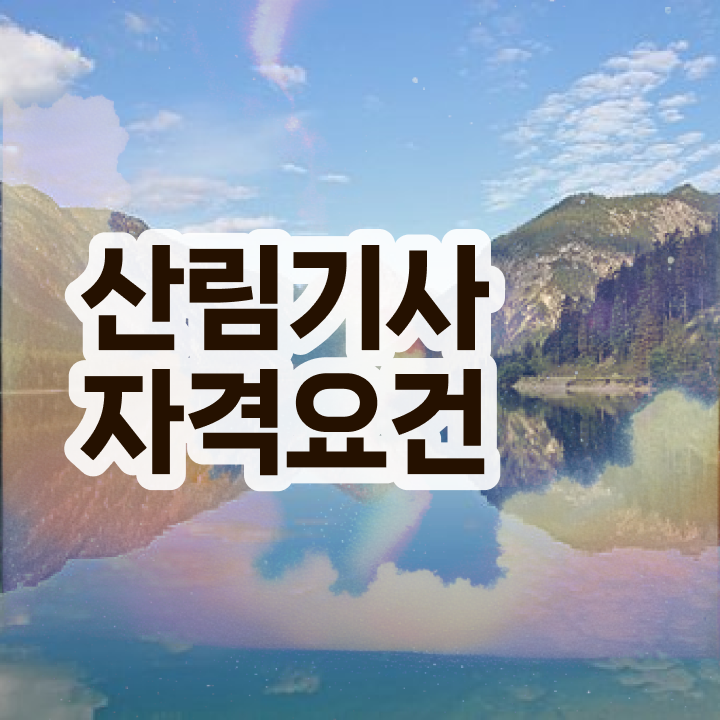  산림 기사필기 산림기사 시험응시자격 온라인 수업으로 쉽고 빠르게 성공한 전략