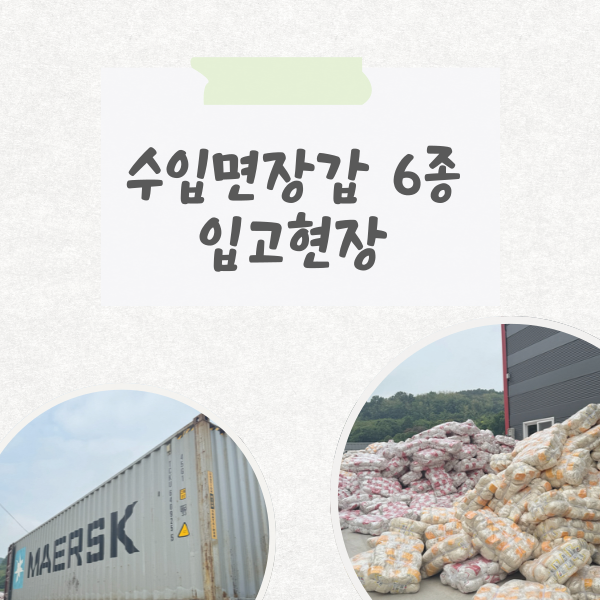  (주)온봄산업 수입면장갑 6종 입고 현장