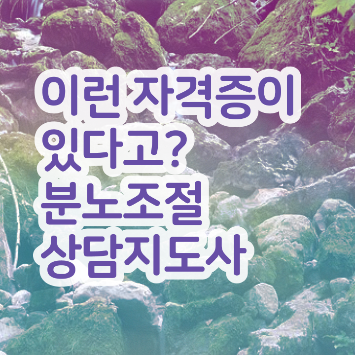  40대여성자격증 , 분노조절상담지도사 비전공 무경력자도 단기간에 끝냈던 후기