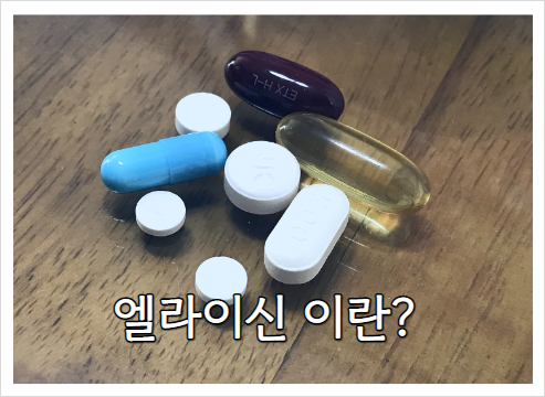 엘 라이신 효능과 부작용