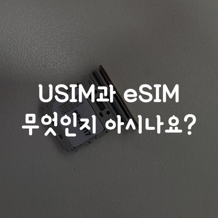  USIM과 eSIM 무엇인지 아시나요?