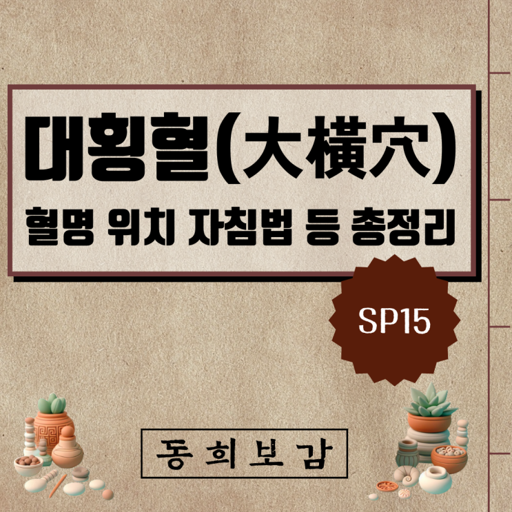  대횡혈(大橫穴) SP15, 소속경맥 혈명 위치 특성 자침법 등 총정리