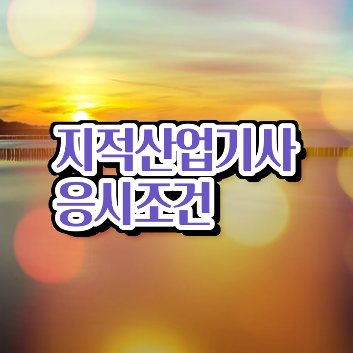  지적산업기사 실기 지적산업기사 취득자격 온라인 과정으로 15주 동안 준비한 과정