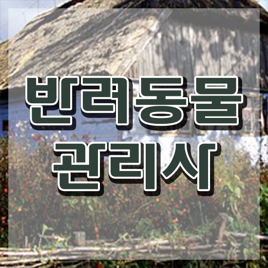  제주도 반려동물 장례 , 반려동물관리사 자격증 1달 만에 합격한 후기 콕콕 짚어드립니다