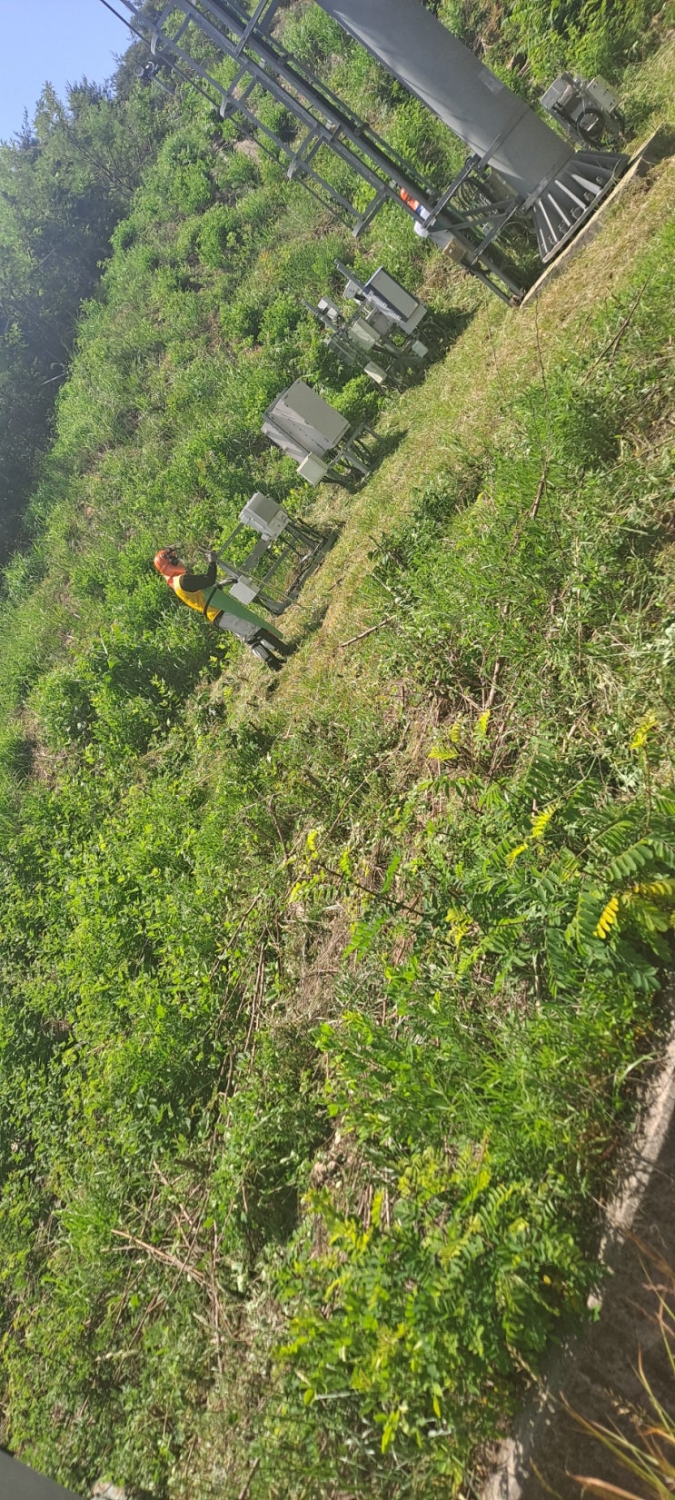  부산 금정구 노포동 공공기관 통신설비 주변 예초대행("부산예초대행")