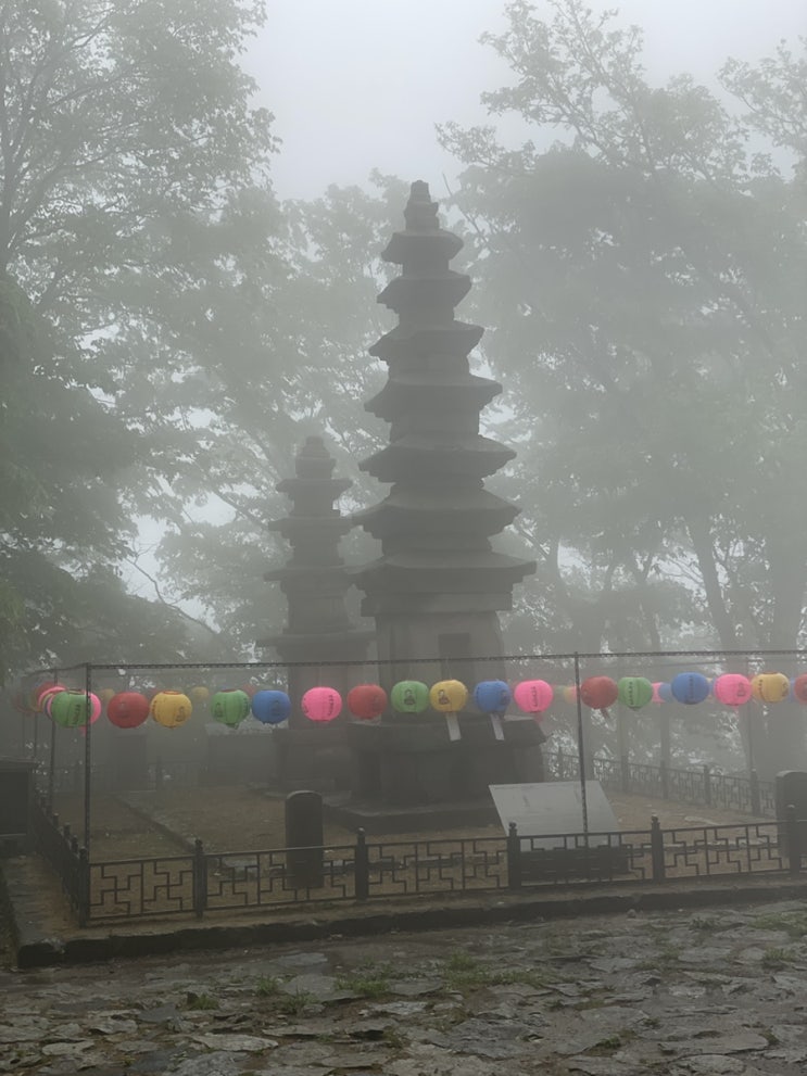  [공주 동학사, 계룡산] 등린이 계룡산 남매탑 등산(등산코스, 위치, 시간, 주차, 김밥구입 등)