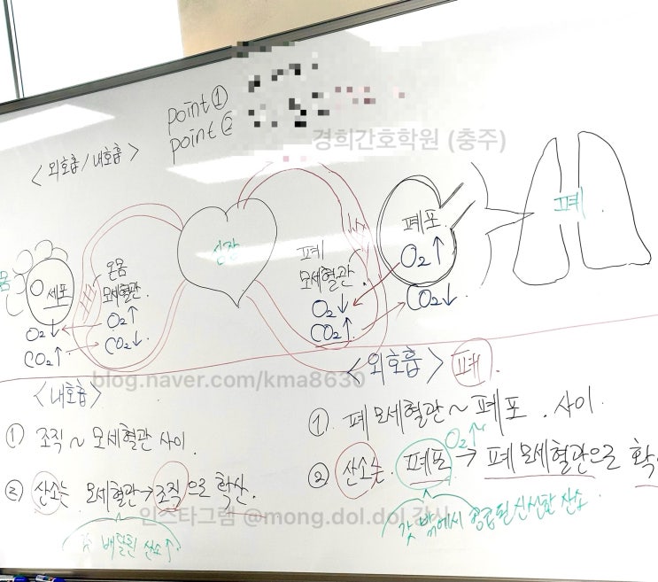  230520 수업판서기록 호흡계통