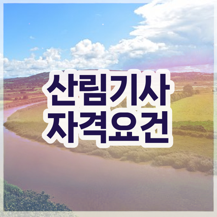  산림 기사학원 산림기사 시험자격 온라인 수업으로 간단하게 준비한 비법