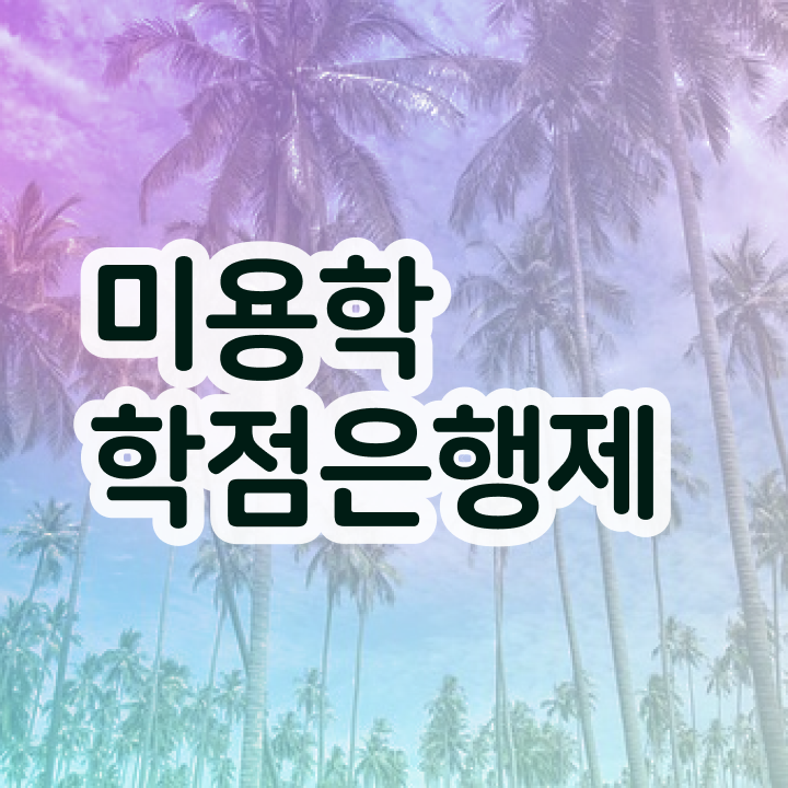  헤어디자이너 자격증 , 국가미용자격증 학원 안다니고 인강으로 끝낼 수 있었어요