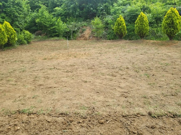  2024년 구미시 무을면 잔디조성 공사 고인돌장묘개발 #김천장의사 #구미장의사 #선산장의사 #상주장의사 #성주장의사 #손없는날 #윤달 #벌초 #이하늘장사 #장의사 #이장 #김천벌초