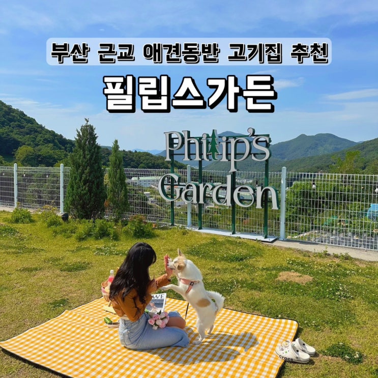 부산 근교 애견동반으로 가기 좋은 고기집 필립스가든