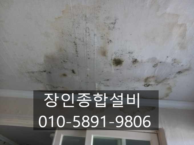  군산누수 물 새는 곳 찾아 수도 공사한 업체