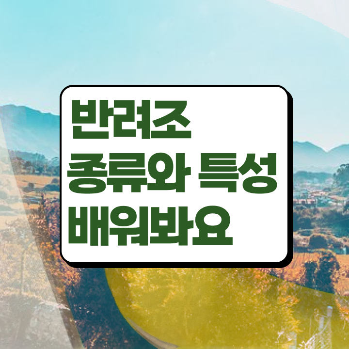  말하는앵무새장난감 , 반려조관리사 자격증 합격한 후기 요약해봤어요