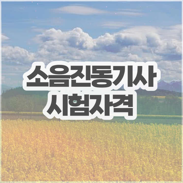  소음진동기사 취득자격 학점은행제로 4달 안에 완료한 비법