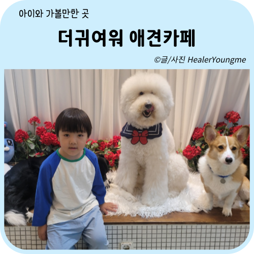 더귀여워 애견카페