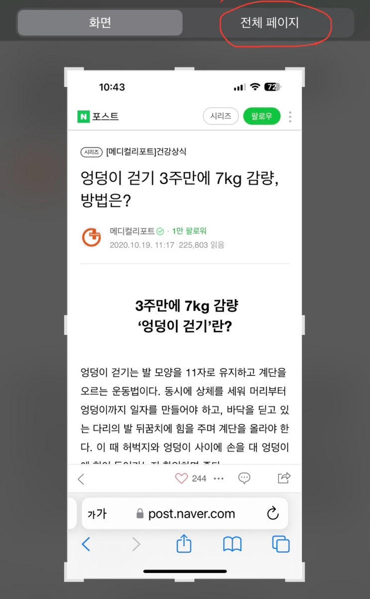  아이폰 스크롤 전체 페이지 캡쳐 안 되는 현상 해결 방법