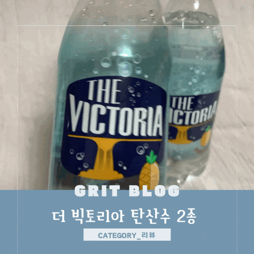 더 빅토리아 탄산수 청포도 향, 파인애플 향 구매 리뷰 탄산수 추천 제로음료 인공감미료 과....