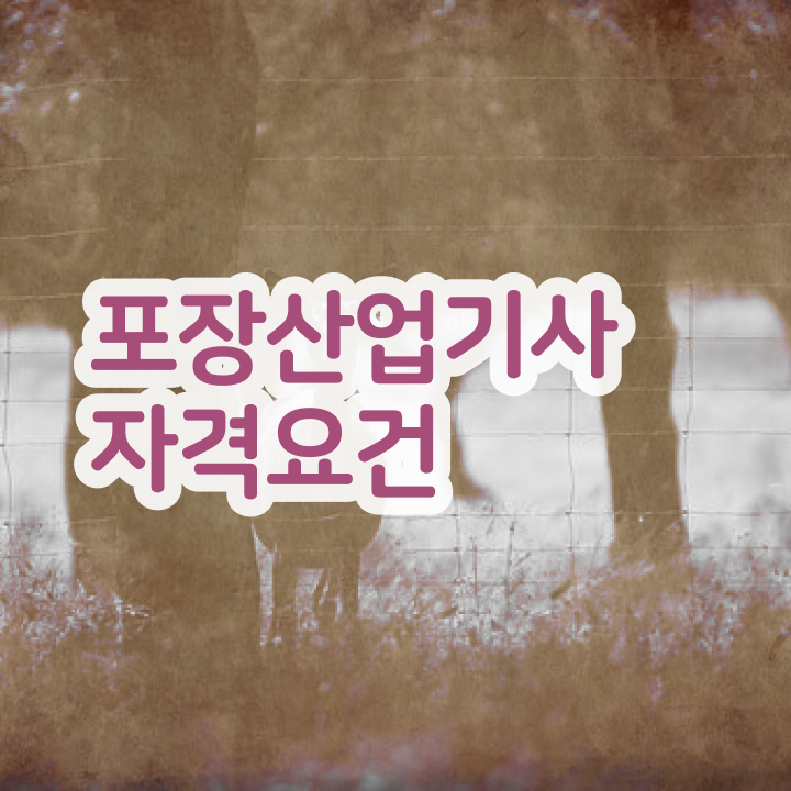  포장산업기사 시험 후기 포장산업기사 취득자격 독학으로 15주만에 준비한 전략