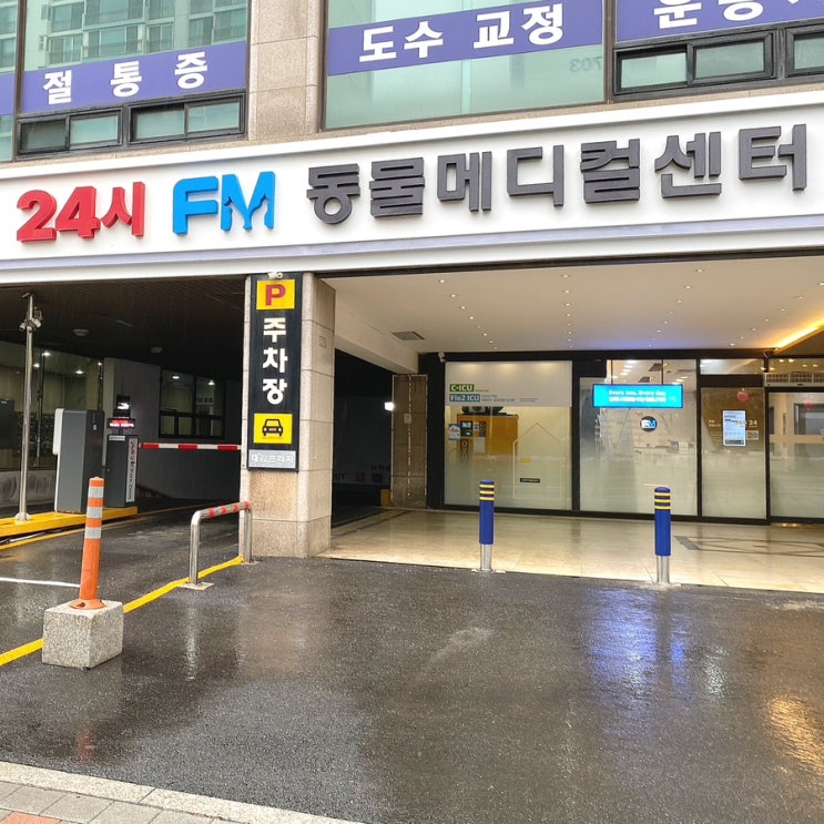  일산 24시동물병원 FM동물메디컬센터에서 강아지슬개골탈구 검사