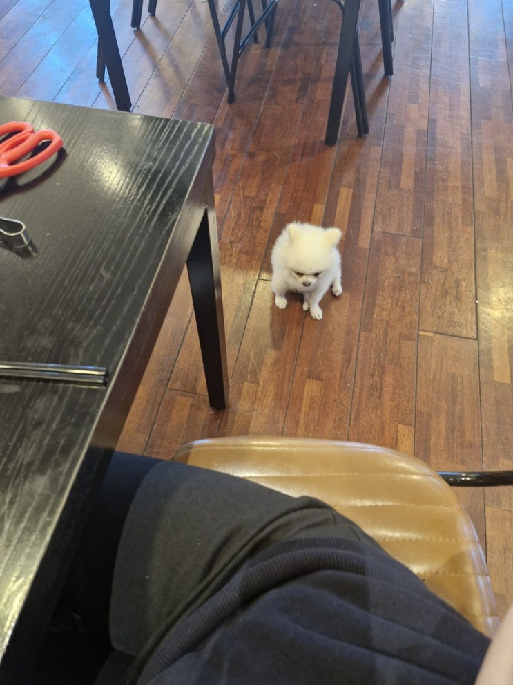  오늘은 진짜 갓생이었다! 아님 말구,,ㅠㅡㅜ