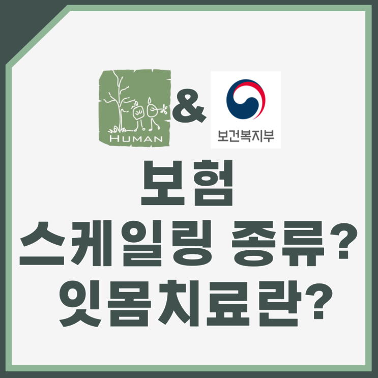  보험 스케일링 종류? 잇몸치료란?