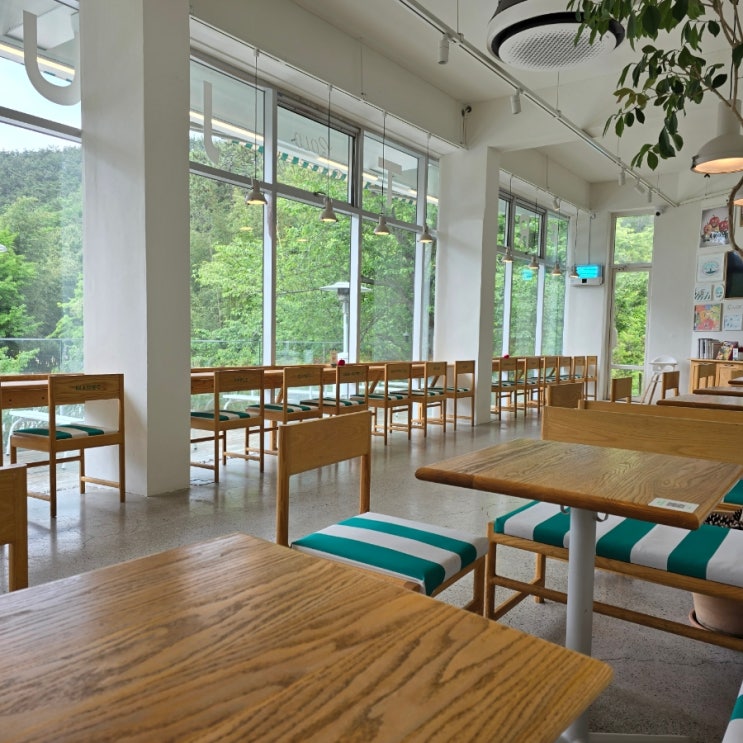  프루터리 포레스트 내돈내산 후기
