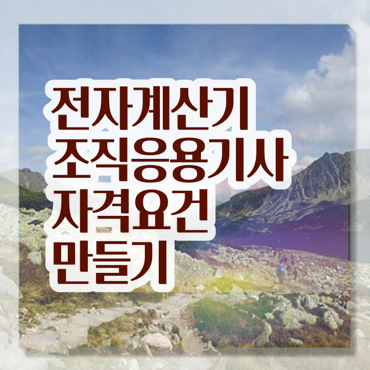  전자계산기조직응용기사 자격요건 독학으로 단기간에 완료한 전략