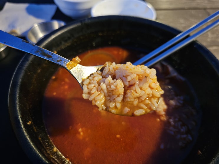  용인 개떼놀이터 | 애견동반