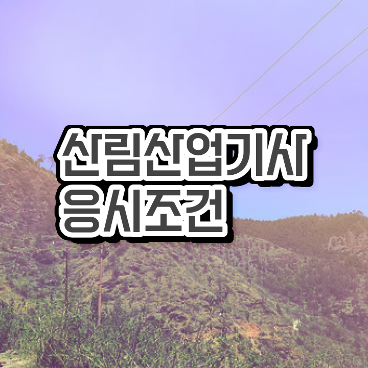  산림 산업기사교재 산림산업기사 시험응시자격 인강으로 간단하게 성공한 팁