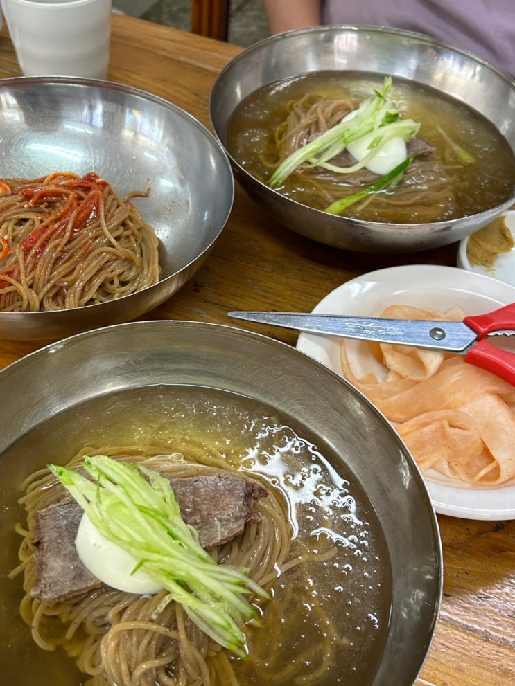  경기도 안성 현지인 냉면 맛집, 우정집 (평양냉면 초보 가능)