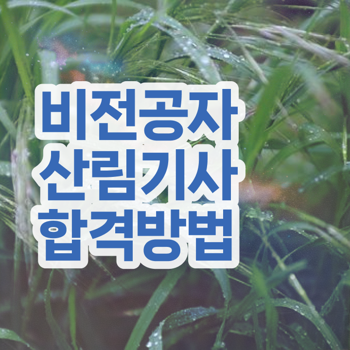  산림기사 필기 시간 산림기사 자격요건 인강으로 반 년만에 완료한 노하우