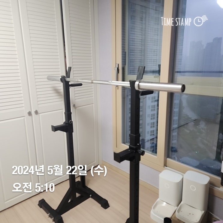  [운동기록]24년 5월 22일 출근 전 운동, 바벨 스쿼트, 팔굽혀펴기(푸쉬업), 바벨숄더프레스