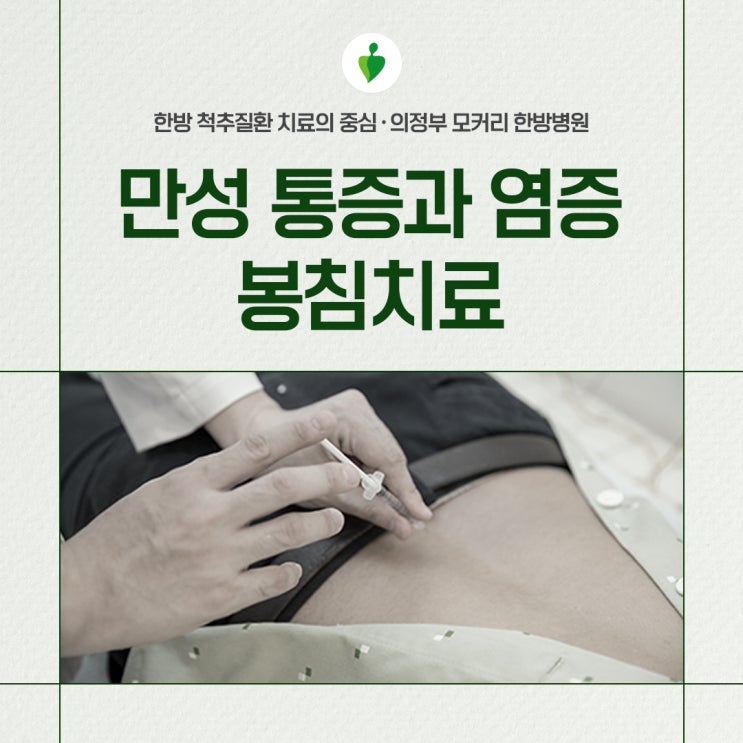  의정부 모커리한방병원 봉침치료 만성 통증 및 염증 치료법