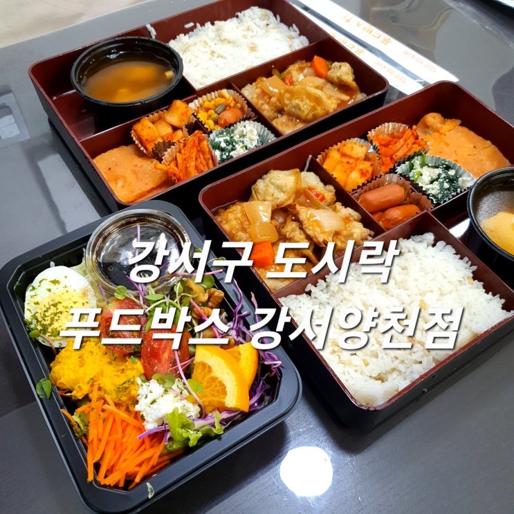  강서구 도시락 푸드박스 강서양천점 무료 배달 &수거 점심메뉴 걱정 끝!