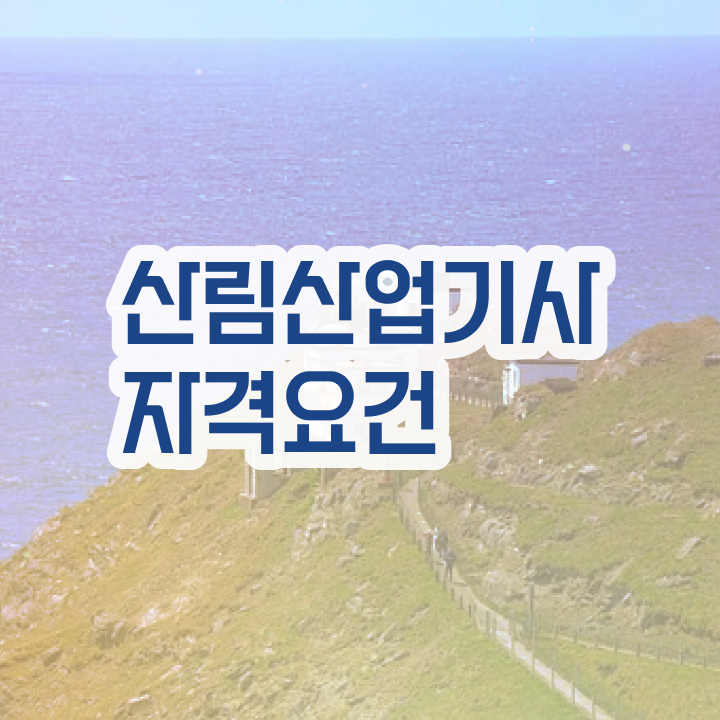  산림산업기사 자격증 산림산업기사 시험응시조건 온라인으로 15주만에 끝낸 후기